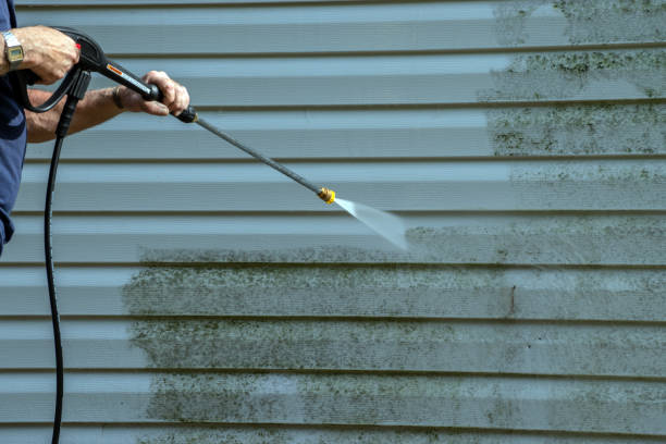 Best Deck and Patio Pressure Washing in Winnebago, MN