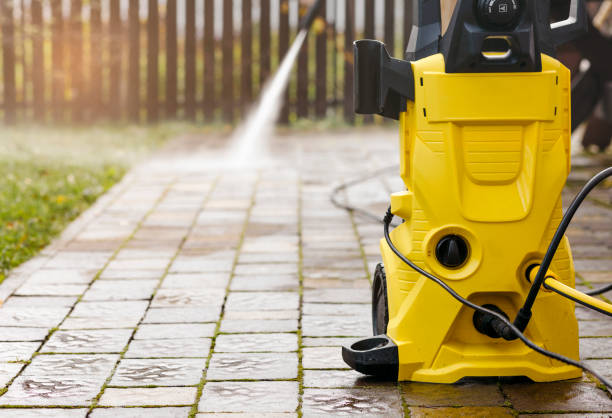 Best Gutter Cleaning and Brightening in Winnebago, MN